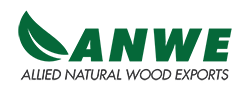 anwe logo